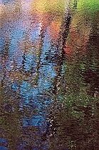 Autumn Impressionist Reflections